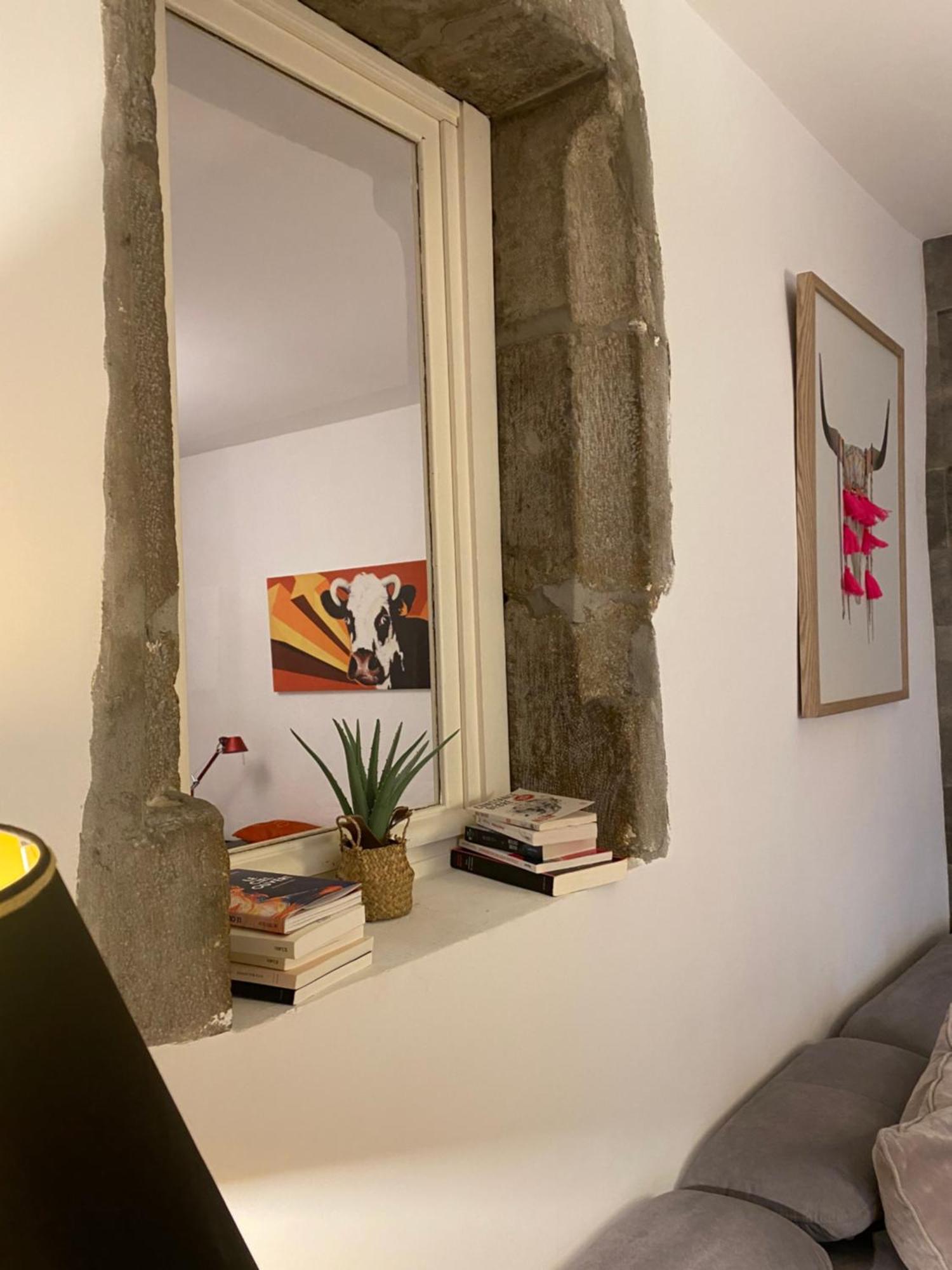 Appartement - Bonlieu - Annecy Vieille Ville Kültér fotó